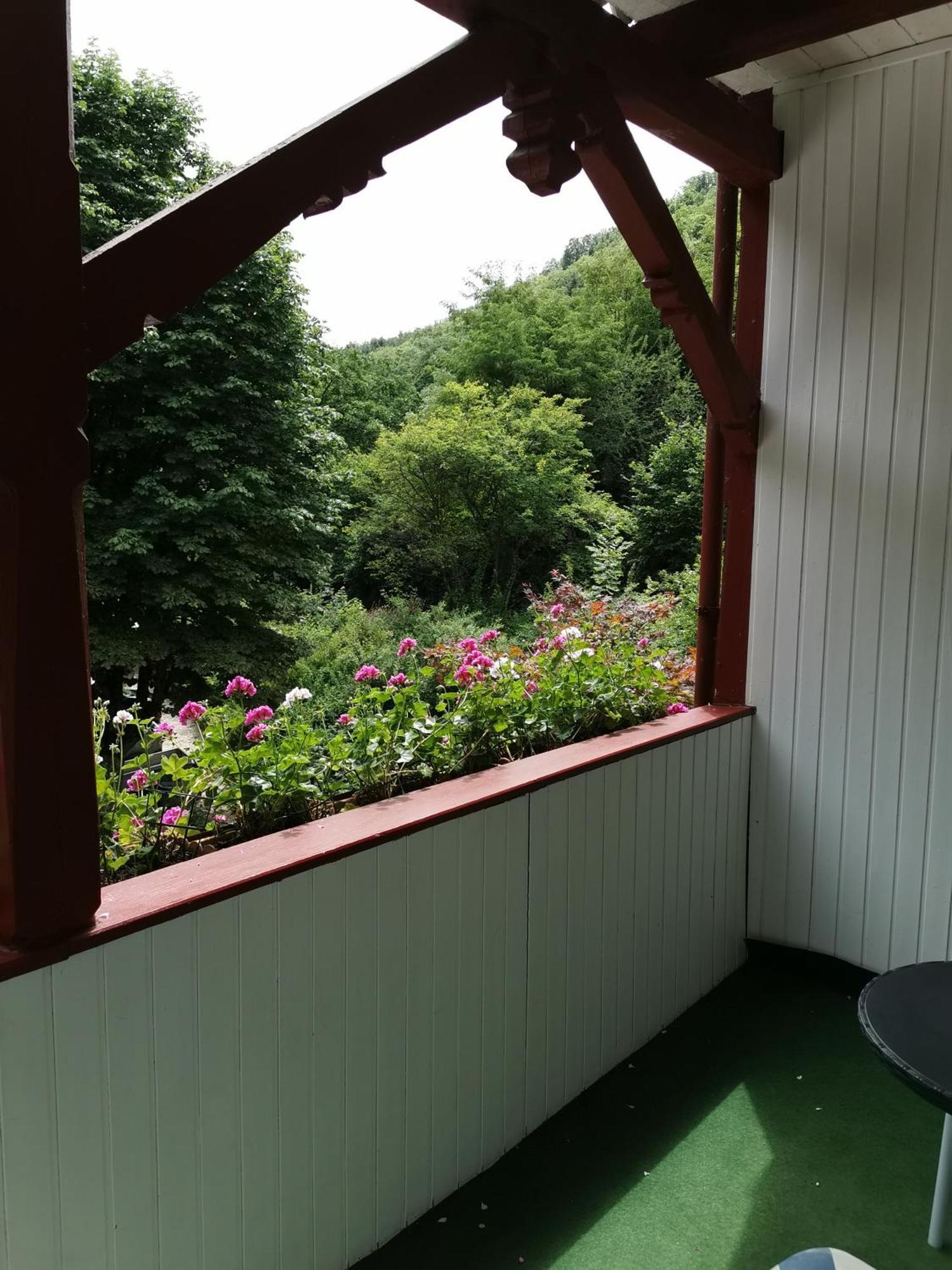 ホテル ヴィンネブルク コッヘム 部屋 写真